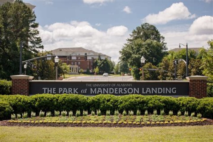 Casey Manderson Wife: Facts On The Christmas Ring Actor
