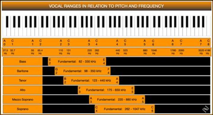 Exploring The Enigmatic Vocal Range Of Florence Welch