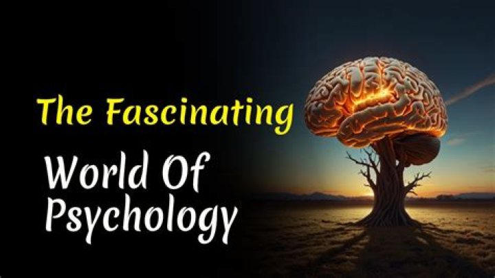 Exploring The Fascinating Journey Of Brain Shaw