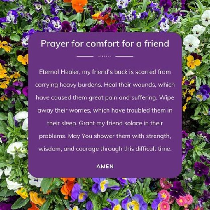 Exploring The Warmth Of Ty Comfort: A Journey Into Comfort And Connection