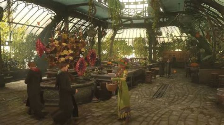 Hogwarts Legacy mandrakes: where to find them and what they're used for