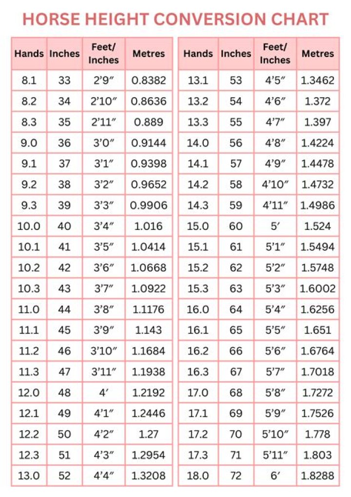 How Tall Is Kara Swisher? Height In Feet And Weigh In Kilograms
