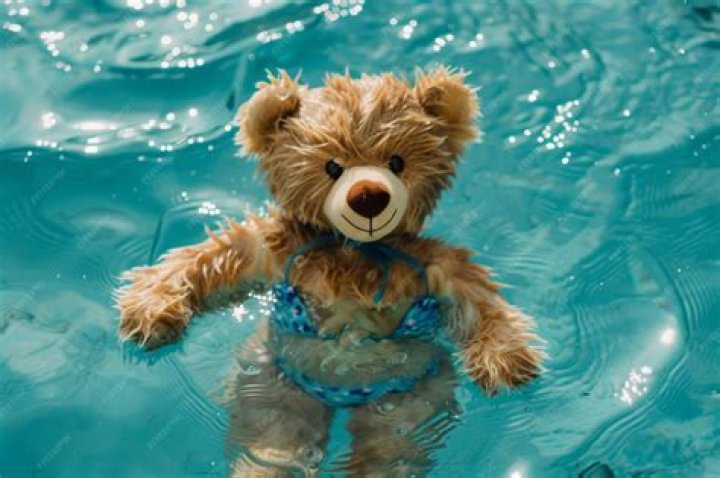 Master The Art Of Teddy Bear Swimming: A Comprehensive Guide