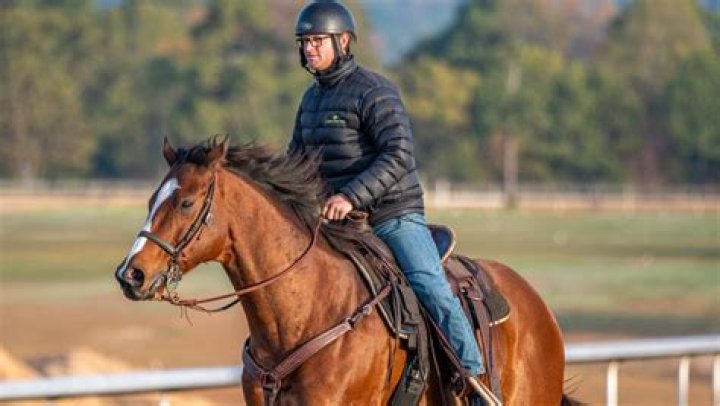 Understanding the Horse-Human Bond: Horse Trainer William Mott’s Insight