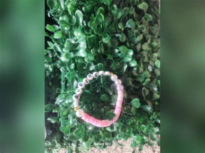 Unraveling The Mystery: How Was Aubreigh Wyatt's Body Found?
