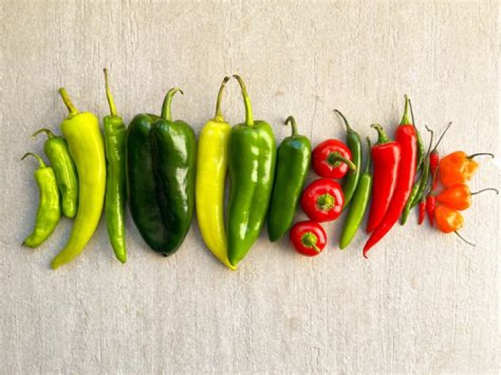 Unraveling The Mystique Of Helena Red Hot Chili