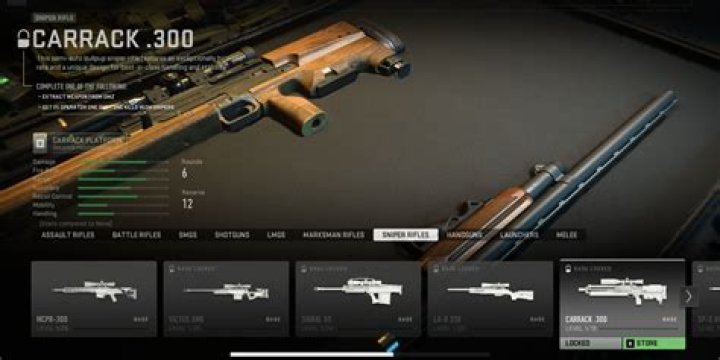 Warzone: best Carrack .300 loadout