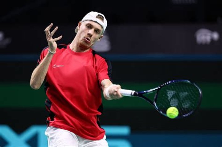 Who Are Viktor Shapovalov &amp; Tessa Shapovalova? Facts On Denis Shapovalov Parents