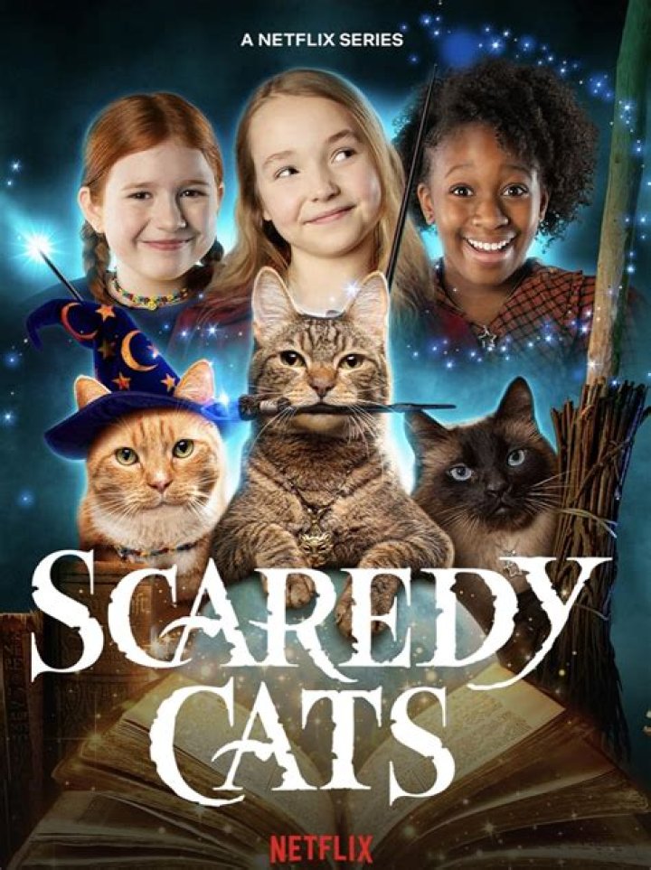 Who Is Michael Teigen? Everything To Know About The Actor From The Netflix Series Scaredy Cats